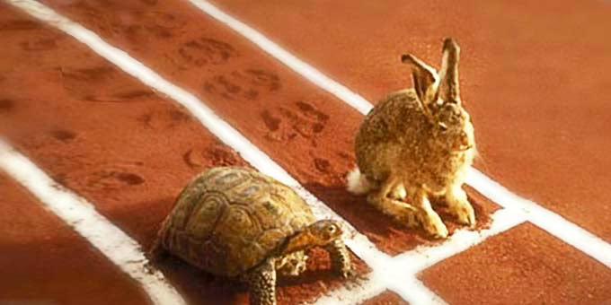新龟兔赛跑：当乌龟开上奔驰车，这速度还用比？