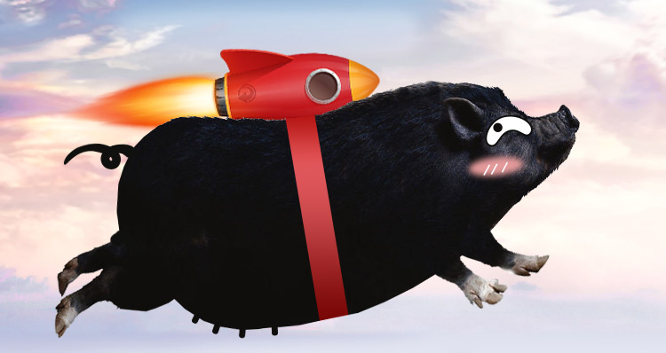 第127个作品        让你的猪在天空飞一会儿            上传:2017