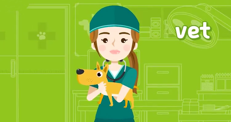 小学必备职业单词:兽医用英文怎么说?