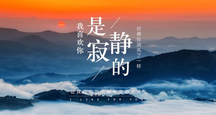 潘之声|我喜欢你是寂静的