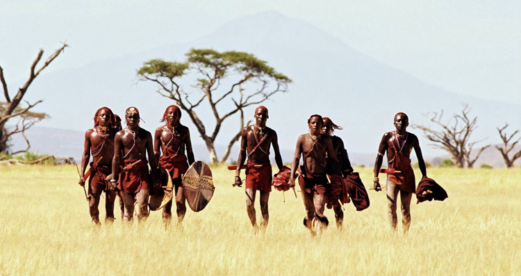 最强的物种--人类