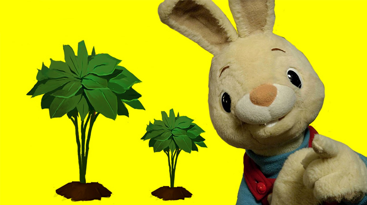 跟着harrythebunny一起来认识一下黄黄的香蕉吧