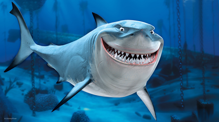 海底总动员:玛林和多莉在去找尼莫地偶遇鲨鱼,没想到故事走向竟然