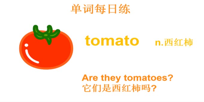 tomato复数图片