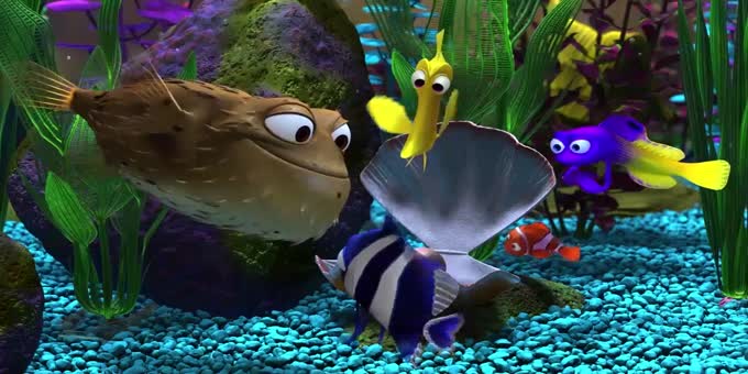 海底总动员:尼莫在人类的鱼缸里,遇到了来自"五湖四海"的伙伴-英语趣