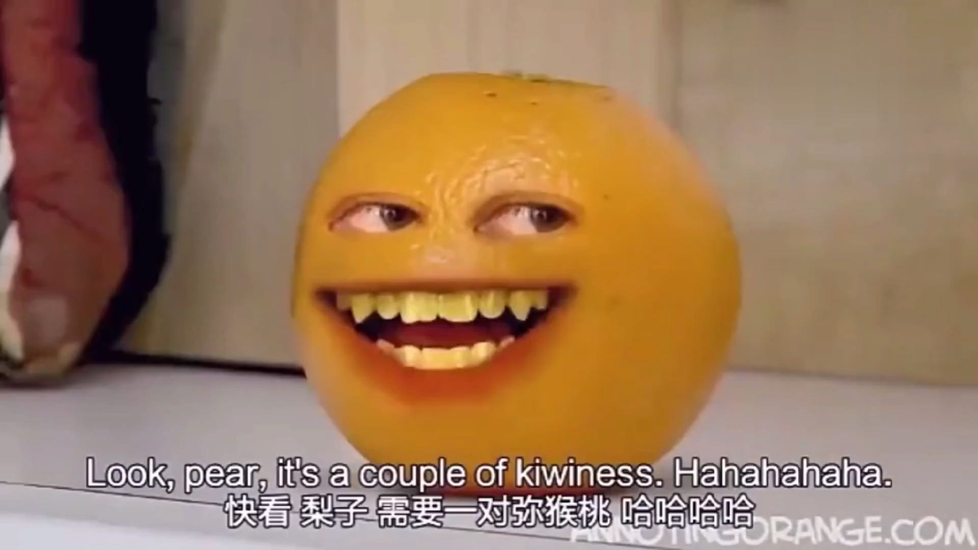 烦人的橙子壁纸,橙子壁纸,烦人的橙子_大山谷图库