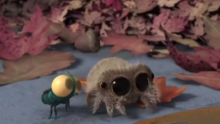 小蜘蛛卢卡斯——天要塌了